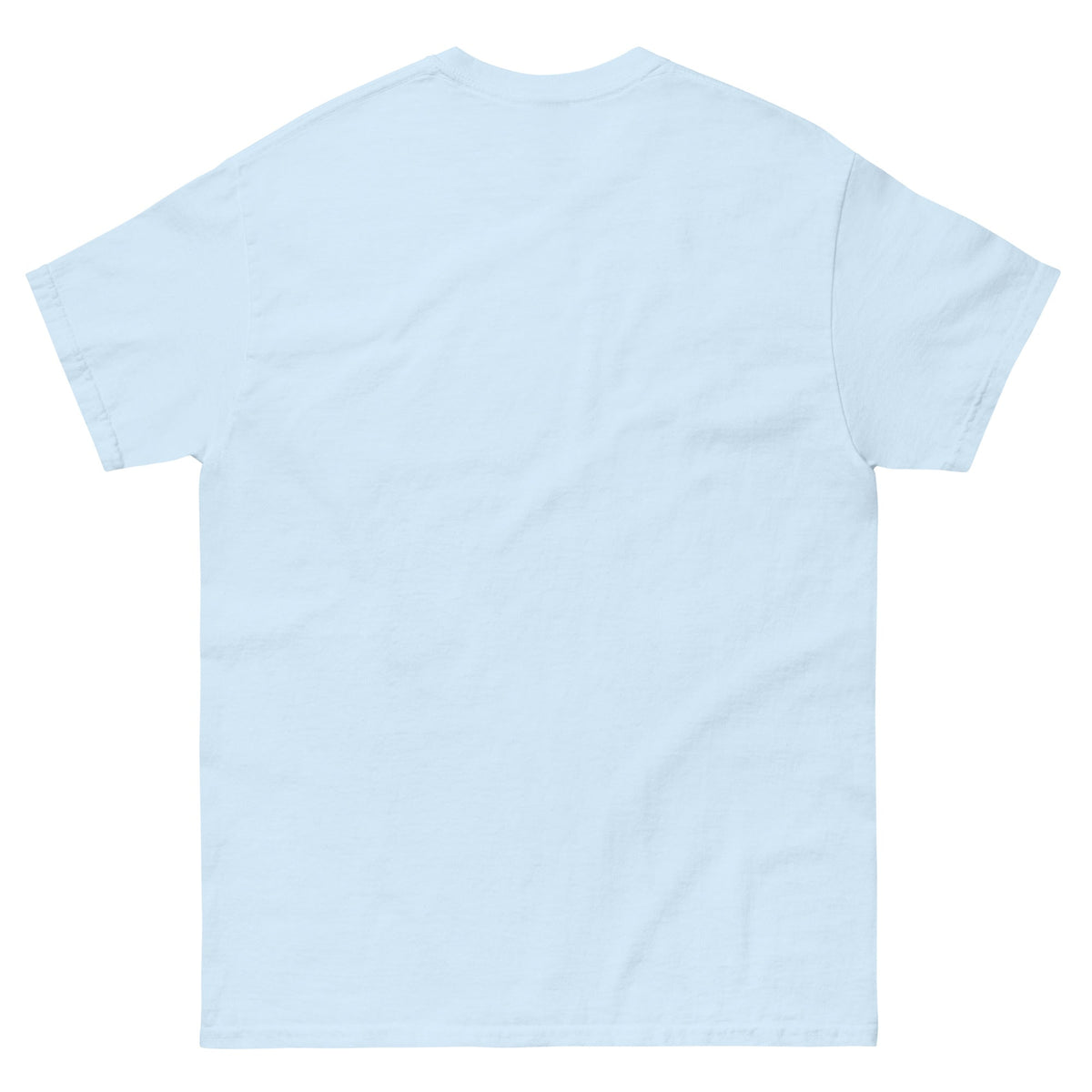 Trump's America:  Dumbfuckistan Unisex classic tee notsobreitbart.com