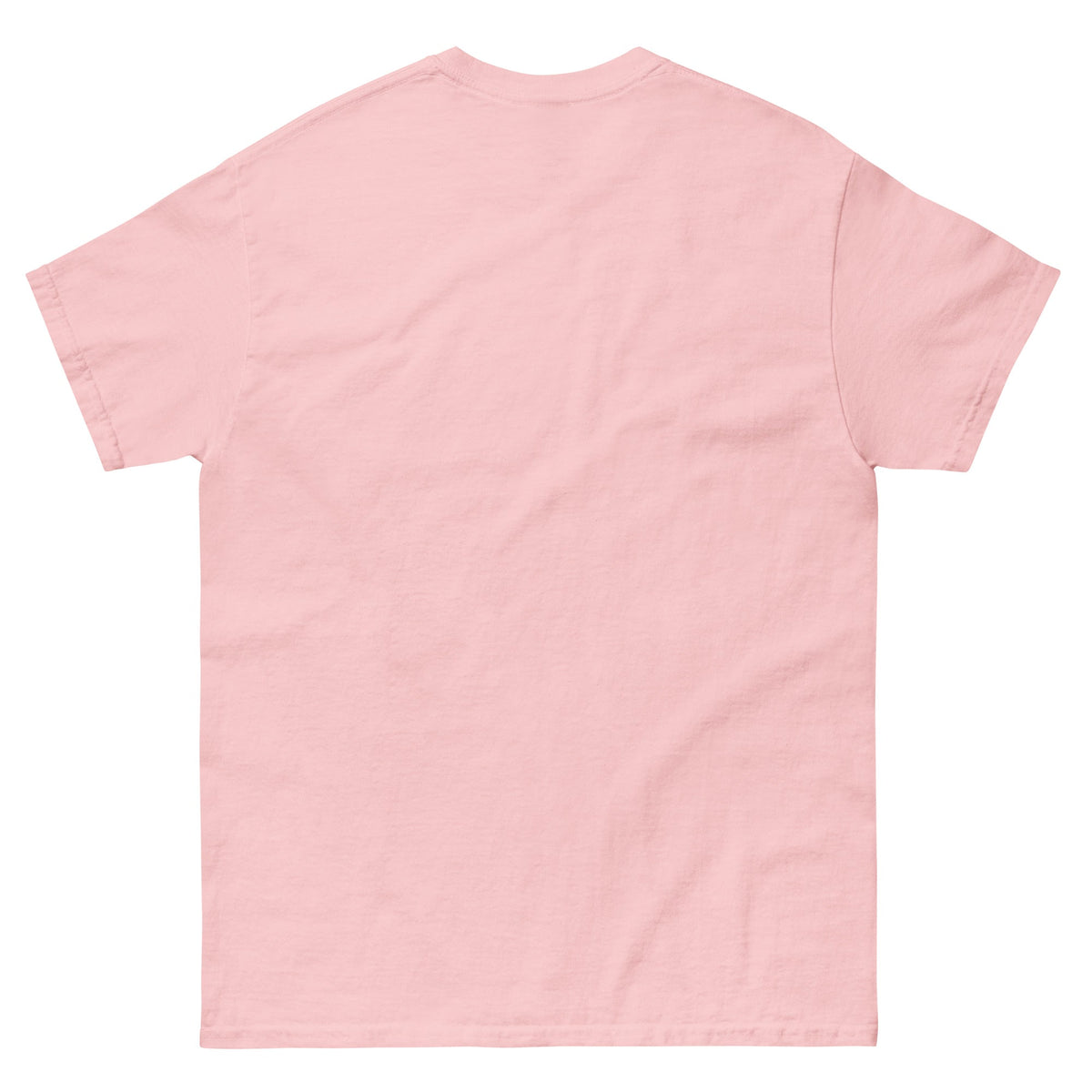 Trump's America:  Dumbfuckistan Unisex classic tee notsobreitbart.com