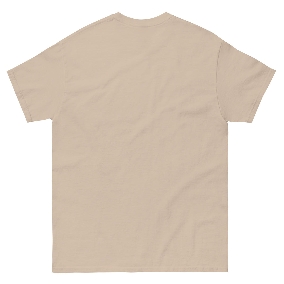 Trump's America:  Dumbfuckistan Unisex classic tee notsobreitbart.com
