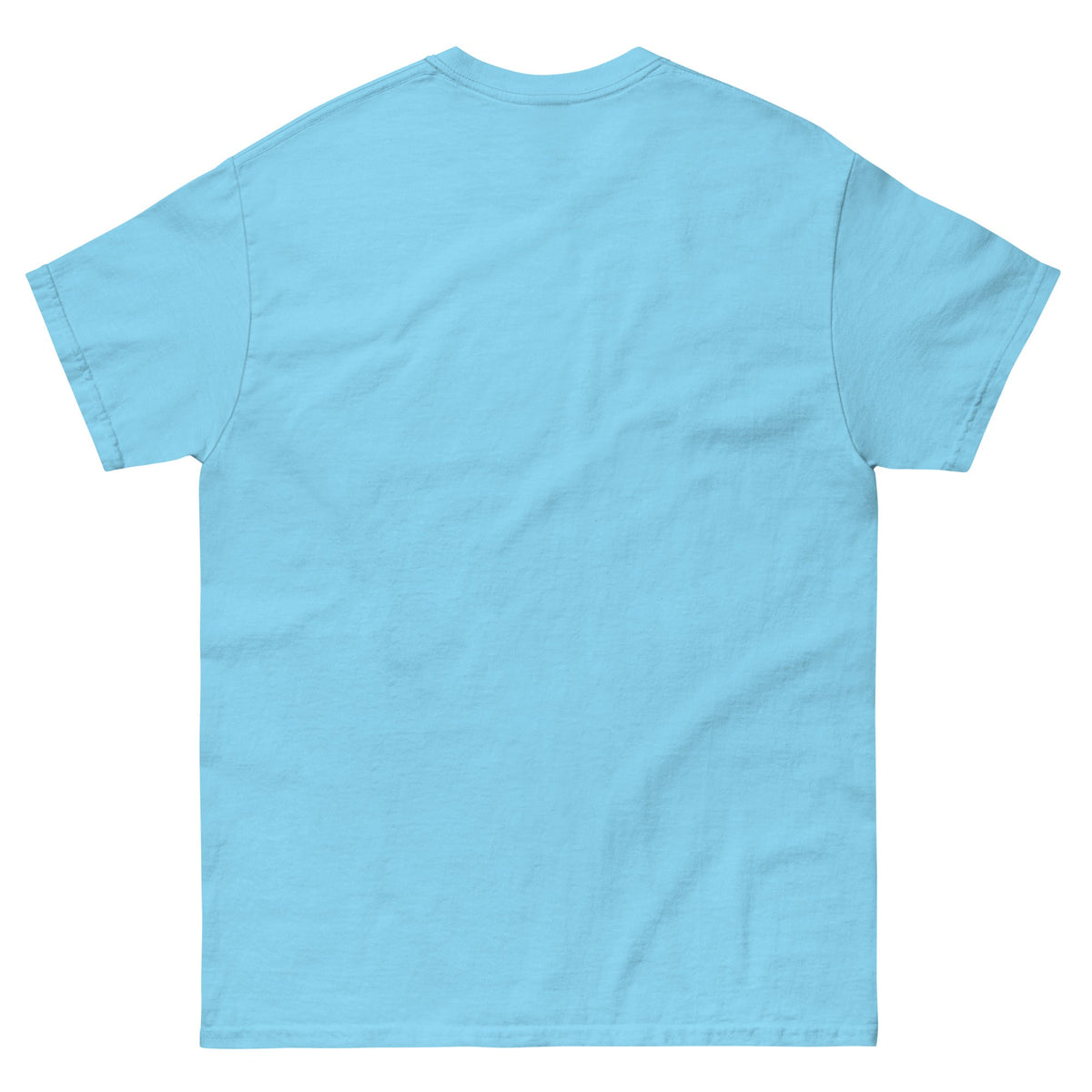 Trump's America:  Dumbfuckistan Unisex classic tee notsobreitbart.com