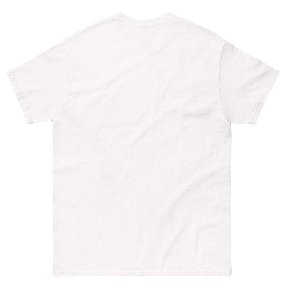 Trump's America:  Dumbfuckistan Unisex classic tee notsobreitbart.com